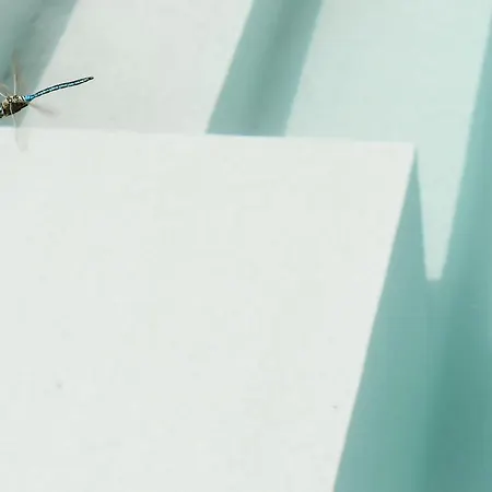 Villa Trullo Evo Con Piscina Privata Ostuni