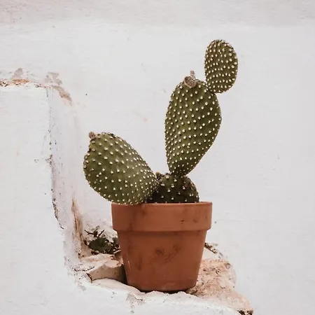 Trullo Evo Con Piscina Privata Ostuni